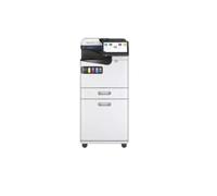 Epson Bandeja de Entrada para Impresora 7113669 - Marca EAN: 8715946735634