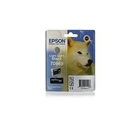 Epson C13T09694010 - Cartucho de tinta, gris claro válido para EPSON Stylus Photo R2880, Ya disponible en Amazon Dash Replenishment