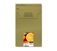 Epson - Oranges Multipack 5-colours 33XL Claria Premium Ink EasyMail