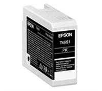 Epson T46S1 cartucho de tinta negro foto