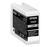 Epson T46S9 cartucho de tinta gris claro