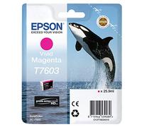 Epson T760340 - Cartucho, color magenta vivo, Ya disponible en Amazon Dash Replenishment