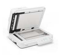 EPSON Workforce DS-1760WN - Escáner de Documentos (A4, ADF, WiFi)