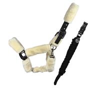 EQuest Cabestro Confort para Caballos Con Líder Punto, Negro - L Full / Warmblut