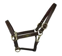 EQuest Funda Piel Inscribe para Caballos, Underlaid - Mocha, S - Pony Cabestro
