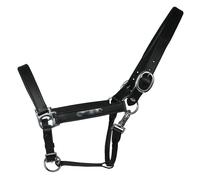 EQuest Funda Piel Inscribe para Caballos, Underlaid - Negro, L - Full / Warmblut