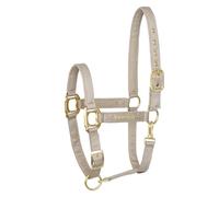 EQUESTRIAN QUEEN Cabestro para caballo ajustable - Elegante cabestro con accesorios de satén y oro rosa, acolchado para mayor comodidad y resistente para el uso diario - Milan (beis, sangre caliente))