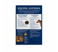 Equestrian Wall Art Horse Health Awareness Poster Educational Canvas Print for Stable Tack Room or Country Home(Framed,16x24inch(40x60cm))