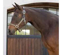 Equinavia Loki - Cabestro ajustable para caballo, color verde oliva claro