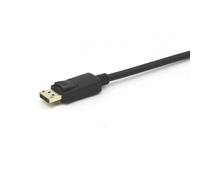 Equip - 119338 Cable DisplayPort macho a VGA (HD15) macho, 2,0 m