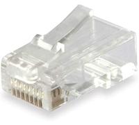 Equip 121144 - conector (rj45, transparente, de plástico, cat6, oro,