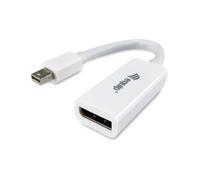 Equip Adaptador Mini DP, Multicolor, Talla Única