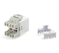 Equip Keystone - Conector para LSA (Cat. 6, sin apantallamiento, 8 Unidades)
