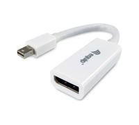 Equip Adaptador Mini DP, Multicolor, Talla Única
