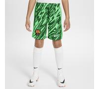 Equipación de portero/a Stadium FC Barcelona 2024/25 Pantalón corto de fútbol Replica Nike Dri-FIT - Niño/a - Verde L