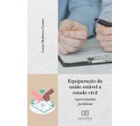 Equiparação Da União Estável A Estado Civil (ebook)