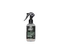 EQUIPMENT SPORT DEO - Desodorante en Spray para Equipos y Accesorios Deportivos - Elimina Olores Desagradables Rápidamente de Zapatos, Mochilas, Casco y Más - Fórmula Ecológica, Sin PFAS