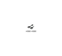 Equipo - Cable de pantalla - DVI-D (M) - DVI-D (M) -…