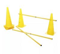 Equipo de agility para perros color Amarillo