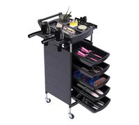 Equipo de carrito para salón de belleza, carro con bandeja para peinado y almacenamiento, puede ser utilizado en salones de belleza, peluquerías, hospitales e instalaciones sanitarias, negro