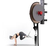 Equipo de Entrenamiento con Volante excéntrico, polea centrífuga de Resistencia Variable, Altura Ajustable, Equipo de Entrenamiento de Fuerza de Pared para Gimnasio en casa.