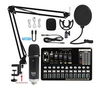 Equipo de podcast paquete Tarjeta de sonido en vivo V10 Conjunto de tarjeta de sonido Micrófono Teléfono móvil Tarjeta de sonido Conjunto completo de equipos de tarjeta de sonido(10)