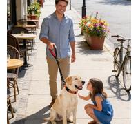 Equipo de viaje para mascotas: artículo básico, pieza sólida, unidad de avivamiento estable | Componente de rescate estable, placa de soporte resistente para cuerdas de manos libres Área