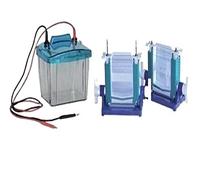 Equipo Electroforesis, Instrumento de electroforesis en gel proteínas vertical P4 DYCZ-25E