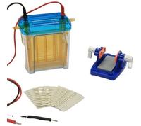 Equipo Electroforesis, Instrumento De Electroforesis Vertical Doble Tanque DYCZ-24EN En Gel Proteína