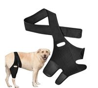 Equipo Protección Piernas Mascota - Set 10 Piezas Calentadores Apoyo Perro Lesiones Luxación | Protección Postoperatoria Articulaciones Soporte Ajustable Neopreno | Evita Lamido Mordedura Comodida