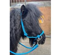 Equipride Cabecera de Cuerda con riendas para Uso de Equitación sin Bitless Full a Mini Shet 5 Colores (Sky, Mini Shetland)