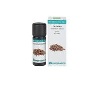 Equisalud Bio Essential Oil Cilantro 10 ml