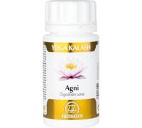 Equisalud Yoga Kalash Agni 60caps