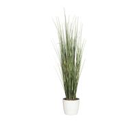 Equisetum maceta de cerámica blanca