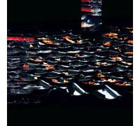 Eraldo Bernocchi & Hoshiko Yamane - Sabi [VINYL] [Vinilo]