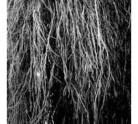 Eraldo Bernocchi, Iggor Cavalera, & Merzbow - Nocturnal Rainforest [Vinilo]