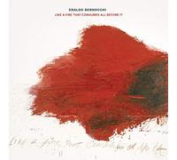 Eraldo Bernocchi – Like a Fire That Consumes All Before It – Vinilo 12" (Importación USA)
