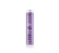 Erayba Champú Silver No Yellow 250ml