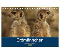 Erdmännchen - Zusammen sind wir stark (Tischkalender 2026 DIN A5 quer), CALVENDO Monatskalender: Bilder vom Erdmännchen-Alltag