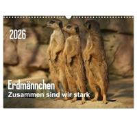 Erdmännchen - Zusammen sind wir stark (Wandkalender 2026 DIN A3 quer), CALVENDO Monatskalender: Bilder vom Erdmännchen-Alltag