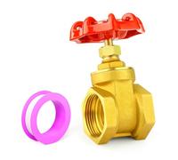 ERGAOBOY Válvula de compuerta de latón con manija de rueda, válvula de 1/2" BSP hembra para uso industrial con agua, aceite, gas y fontanería industrial