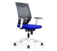 Ergoline Silla sincro ajuste lumbar. malla/gris 908w-1