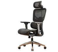 Ergonomic Chair Lumbar Support Computer Chair Comfortable Home Office Chairs Long Periods Sitting Reclining Gaming Chairs Office Seat(Steel Legs/Black Without Footrests)