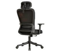 Ergonomic Desk Chair Lumbar Support Headrest Adjustable Padded Flip Up Armrests Comfy Seat Cushion High Back Executive Chairs Home Office(Nylon Feet/Black Sponge Seat Cushion)