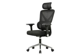 Ergonomic Office Chair Desk Chair Computer Chairs Dual Back Design Adaptive Lumbar 145° Leaning Back Comfortable Prolonged Sitting(Nylon Feet/Black Sponge Seat Cushion)