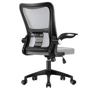 Ergonomic Office Chair High Back Desk Chair 3D Lumbar Support Headrest Armrest Computer Chairs Gaming Esports Chairs Suitable Work Family(Nylon Feet/Black Frame Gray Mesh)