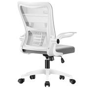 Ergonomic Office Chair High Back Desk Chair 3D Lumbar Support Headrest Armrest Computer Chairs Gaming Esports Chairs Suitable Work Family(Steel Legs/White Frame Gray Mesh)