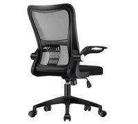 Ergonomic Office Chair Mesh Desk Chairs Adjustable Lumbar Support Adjustable Armrests Breathable High Back Computer 3D Lumbar Support(Nylon Feet/Black Frame Black Mesh)