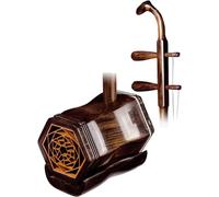 Erhu Chino de 2 Cuerdas Violín Erhu de calidad profesional hecho a mano con caja de almacenamiento de primera calidad