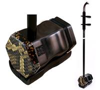 Erhu chino, Violín chino de 2 cuerdas de ébano, erhu, color negro, con 10 rejillas, DVD, resina, puente, estuche rígido
